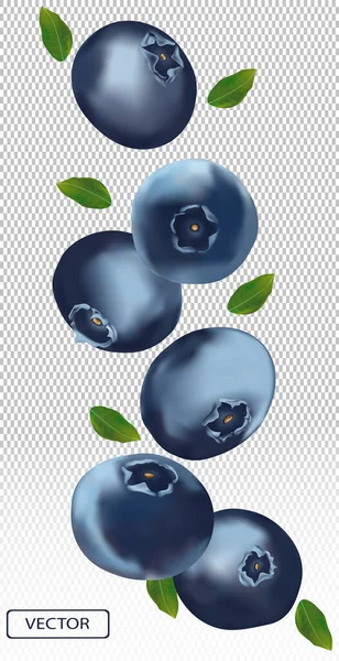 3D-Blaubeere mit grünem Blatt. Saftige reife Beerenheidelbeeren auf transparentem Hintergrund. Frische wilde Sommerbeeren. Illustration für Ihr Plakat, Banner. Vektorillustration. — Stockvektor