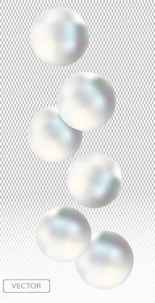 Perle de mer blanche brillante sur fond transparent. Beaux bijoux pour femmes. Illustration pour votre affiche, bannière. Illustration vectorielle — Image vectorielle