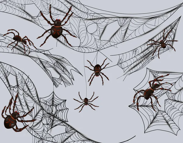 Sammlung von Spinnweben zum Fangen von Insekten. Spinnweben und Spinnen isoliert auf grauem Hintergrund. Kompliziertes Spinnennetz, Halloween-Konzept. 3D-Vektor-Illustration — Stockvektor