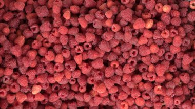 Ahududu, Berry, kırmızı, diyet, tatlı, doğal, yaz, vitamini, organik, tatlı, yemek