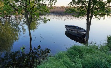 Su dolu shore. Starocherkassk, Rusya Federasyonu