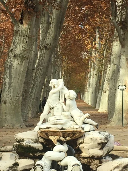 Autunno Nei Giardini Della Città Aranjuez Madrid — Foto Stock