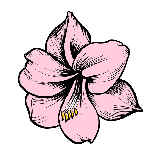 Розовый векторный цветок с черными чернилами . — стоковый вектор