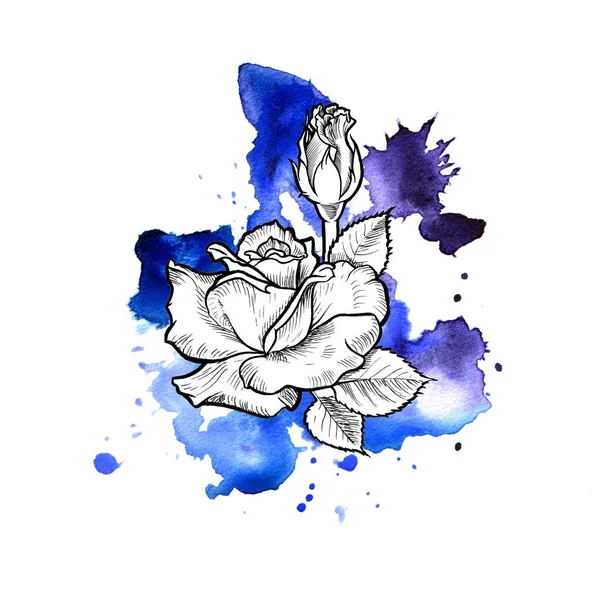 Uma mancha aquarela sem forma azul brilhante. Linha de flor de tinta rosa gráfico — Fotografia de Stock