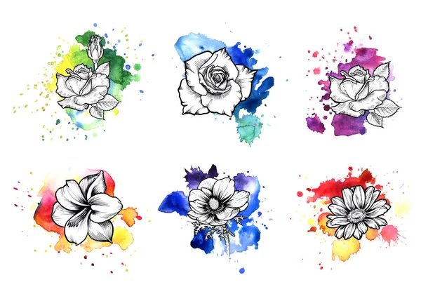 Яскраві барвисті безформні акварельні плями. Роза, маки і ромашкові чорнила квіткова лінія графічна — стокове фото
