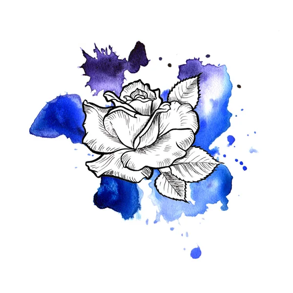 Яскраво-блакитна безформна акварельна пляма. Роза чорнила квіткова лінія графічна — стокове фото