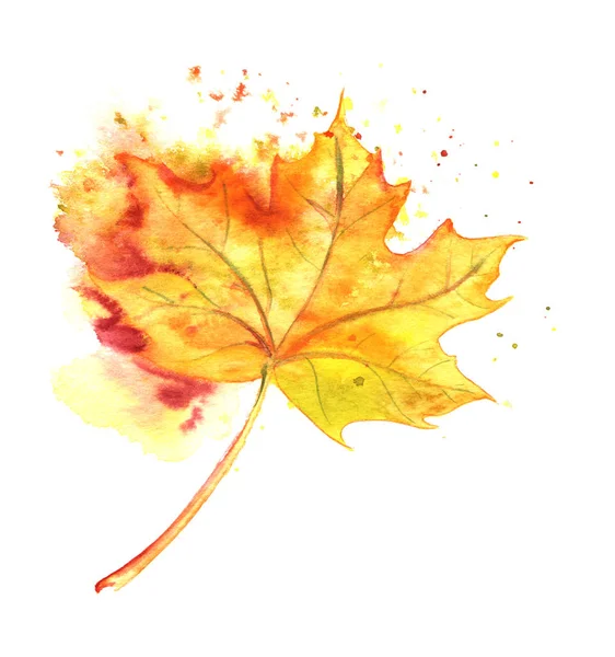 Watercolor hand painted yellow autumn felled leaves. — Stock Photo, Image