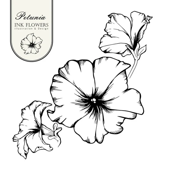 Schwarze Tusche Linie Stil Skizze Blume. Handbemalte Alstroemeria. — Stockvektor