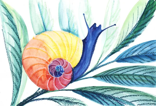 Caracol em umas folhas. Mão desenhada sobre um papel ilustração aquarela — Fotografia de Stock