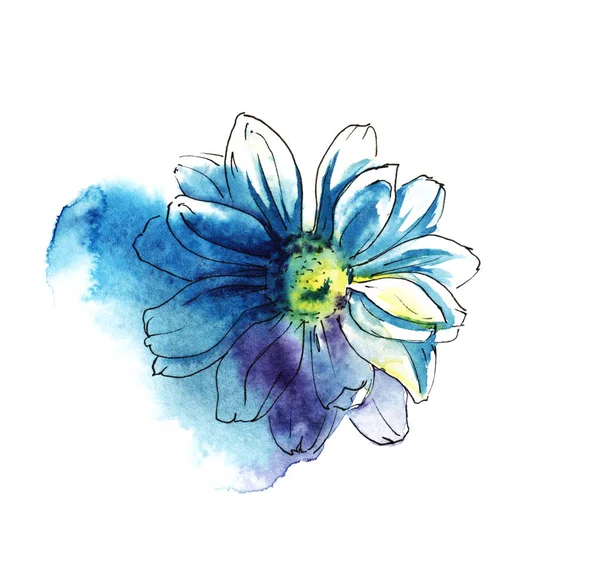 Blue chrysanthemum. Colored hand drawn watercolor illustration. Isolated on white background — Stock Photo, Image