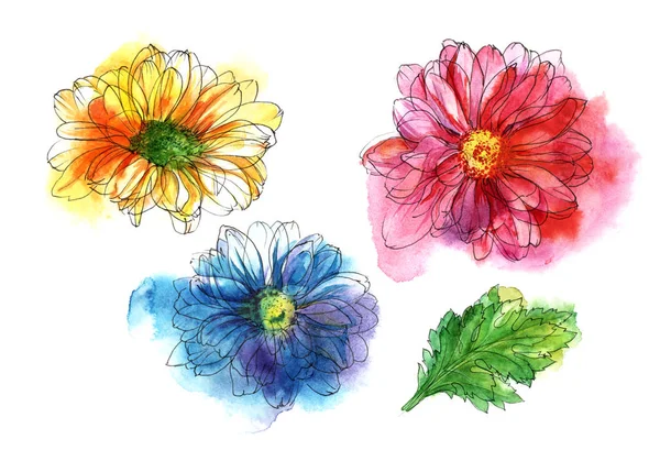 Krizantém virág díszítő készlet. Akvarell vázlat. Kézzel rajzolt ábra, számítógépes feldolgozás — Stock Fotó