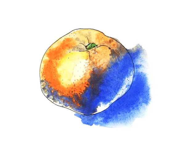 Orangefarbene Mandarine mit hellblauem Schatten. Kontrast Aquarell-Skizze. Handgezeichnete Illustration — Stockfoto