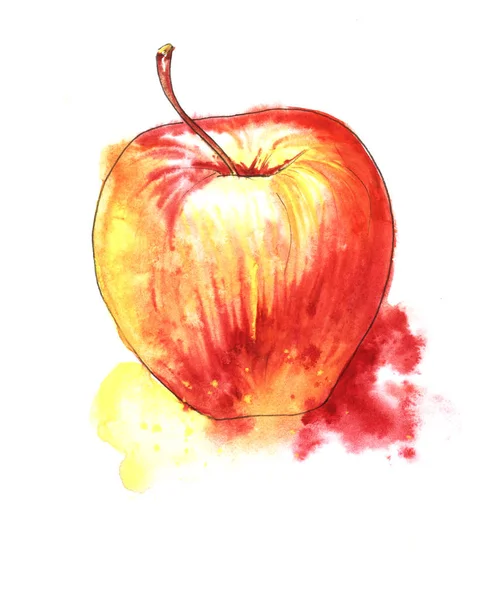 Sketch red fresh apple. Hand-drawn watercolor paper on wet paper — Stock Photo, Image