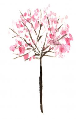 Bir ince, ince pembe çiçekli kiraz veya kayısı ağacı uzun kahverengi gövde üzerinde bir top şeklinde taç ile. Elle çizilmiş suluboya illüstrasyon.