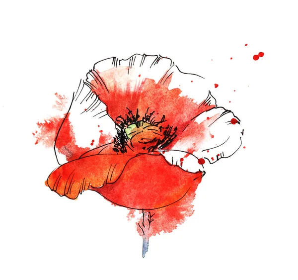 红色罂粟在红色背景在猩红油漆的喷雾。手绘水彩插图. — 图库照片