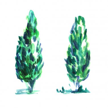iki Gür Selvi veya yayılan dalları ile küçük thuja ağacı. Mavi yeşil ve turkuaz renklerde elle çizilmiş suluboya çizim illüstrasyon.