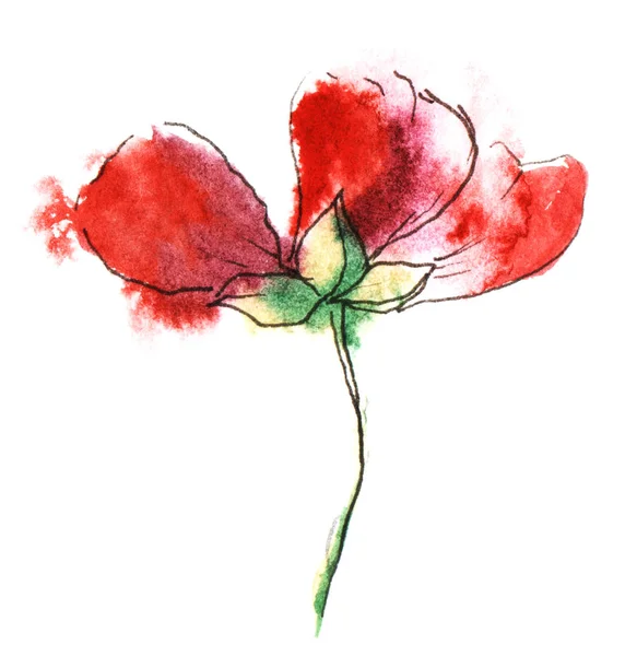 Beyaz arka planda izole düşen yaprakları ile siyah sap üzerinde tek sollama kırmızı çiçek. Kağıt dokusu üzerine suluboya el çizilmiş boyama. Islak mürekkep efekti ile fırça inme çiçek illüstrasyon. — Stok fotoğraf