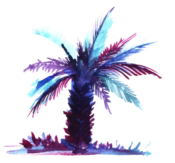 Umrisse einer Sago-Palme mit fleischigen asymmetrischen Blättern in violetten und blauen Farbtönen. tropische Landschaft Ansicht isoliert auf weißem Hintergrund. handgezeichnete Aquarell-Illustration auf Papier. — Stockfoto