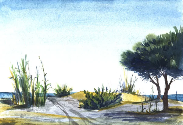 Paysage côtier de pins pelucheux, de verdure élevée et d'arbustes luxuriants poussant sur le sable sous un ciel bleu vif. Ligne de mer est vu sur le fond. Illustration abstraite dessinée à la main à l'aquarelle . — Photo