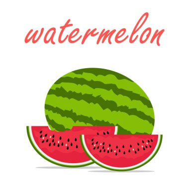 Merhaba yaz meyve karpuz vektör