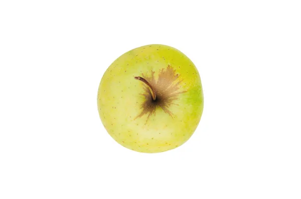 Ένα Ολόκληρο Φρέσκο Ωμό Μήλο Πράσινου Χρώματος Κλαδί Απομονωμένο Λευκό — Φωτογραφία Αρχείου