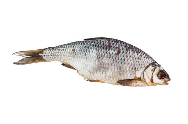 Beyaz arka planda izole edilmiş bir kurutulmuş tuzlu balık. Üst görünüm. Kırpma yolu-görüntü