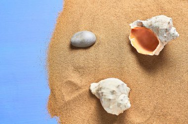 Deniz kabukları, taş ve mavi çizik beton üzerinde dağınık kuru kum. Metin için boşluk. Üstte görüntü