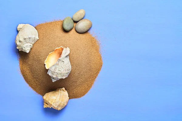 Seashells Stones Heap Dry Sand Blue Scratched Concrete Space Text — Stock Photo, Image