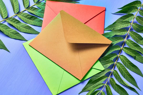 Grupo Envelopes Fechados Coloridos Perto Grande Folha Verde Concreto Azul — Fotografia de Stock