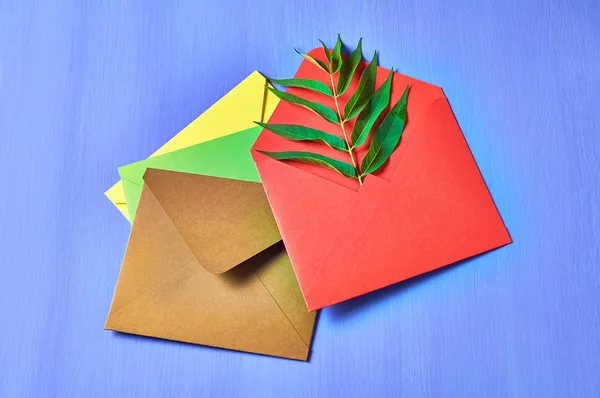 Conjunto Envelopes Coloridos Com Folha Verde Sobre Concreto Azul Vista — Fotografia de Stock