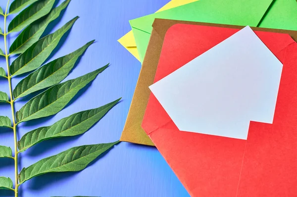 Conjunto Envelopes Coloridos Com Folha Branca Branco Perto Folha Verde — Fotografia de Stock