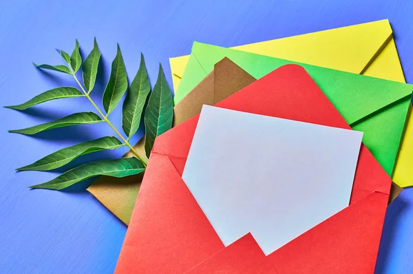 一组五颜六色的信封 蓝色混凝土上靠近绿叶的白色空白片 文本空间 — 图库照片