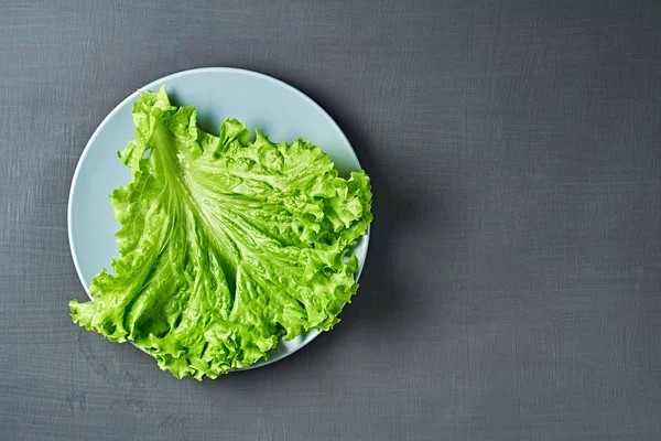 Feuilles Fraîches Moelleuses Salade Verte Assiette Ronde Posée Sur Béton — Photo