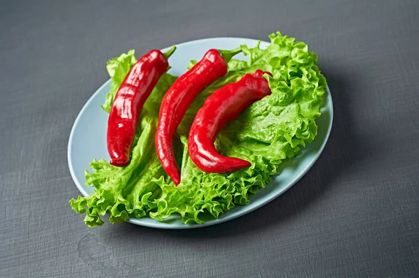 Feuilles Fraîches Moelleuses Salade Verte Piment Rouge Assiette Ronde Posée — Photo