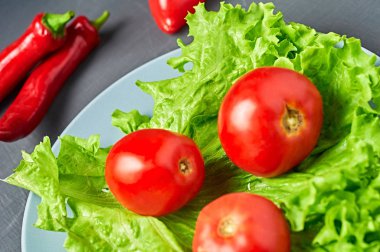 Taze yeşil kabarık salata salatası, kırmızı biber, domates, tabak çizik koyu betonun üzerinde. Vejetaryen, diyet, sağlıklı, düşük kalorili yiyecekler.