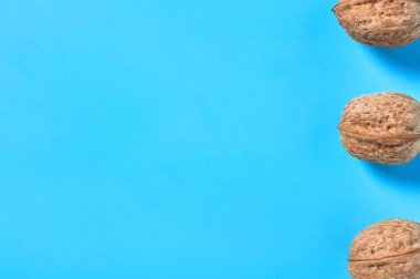 Mavi arka planda bir sıra olgun ceviz. Uzayı kopyala Üst görünüm