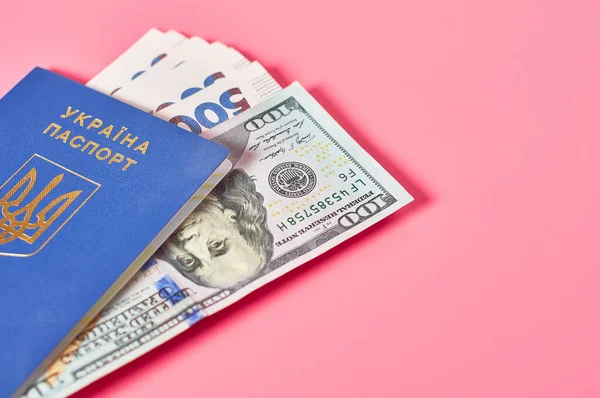 ピンクの背景にウクライナの市民や銀行券のパスポート 寄付または社会的支払いの概念 — ストック写真