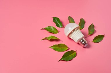 Pembe arka planda birçok taze yeşil yaprağın yanında ışık saçan bir ampul. Tasarruf ve alternatif enerji kavramı. Metin için boşluk