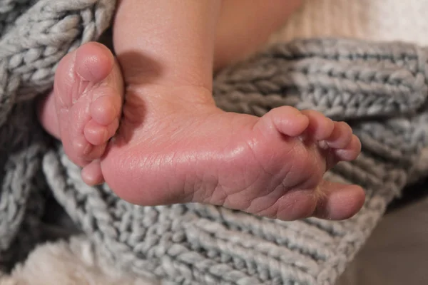 Foot Newborn Boy — Stock Photo, Image