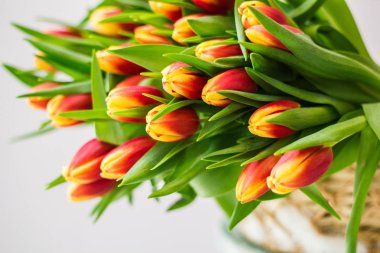 Kar kış, bahar tatil 8 Mart için sepet içinde Lale buketi