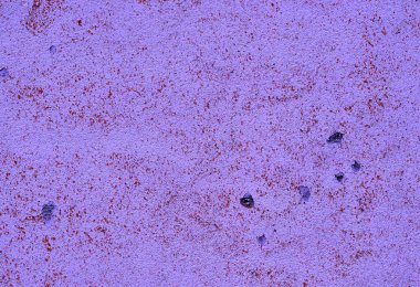 Eski bir sıva duvar