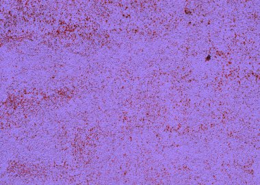 Eski bir sıva duvar