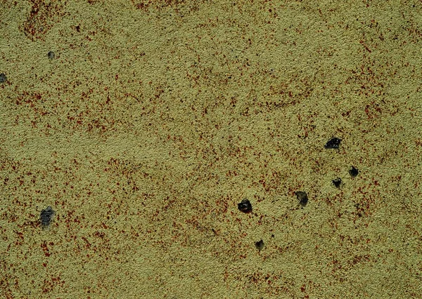 Eski bir sıva duvar