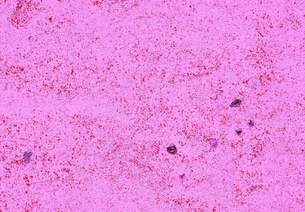 Eski bir sıva duvar