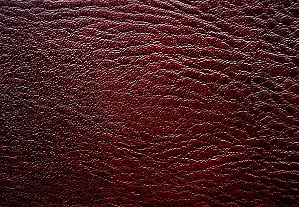 Una Texture Pelle Marrone — Foto Stock