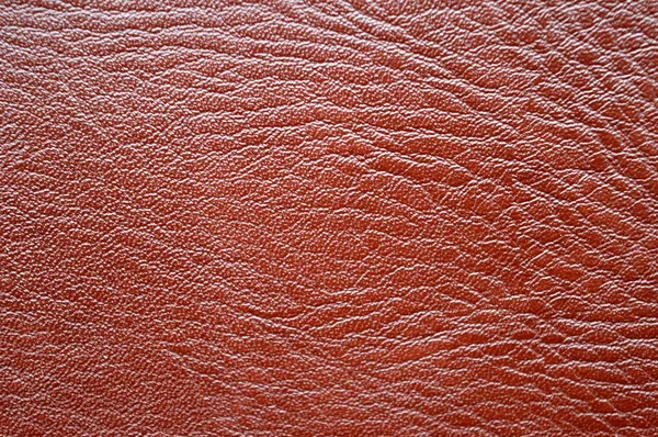 Una Texture Pelle Marrone — Foto Stock