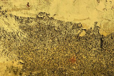 Eski bir sıva duvar