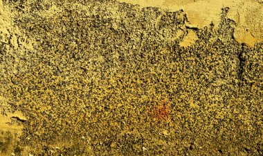 Eski bir sıva duvar