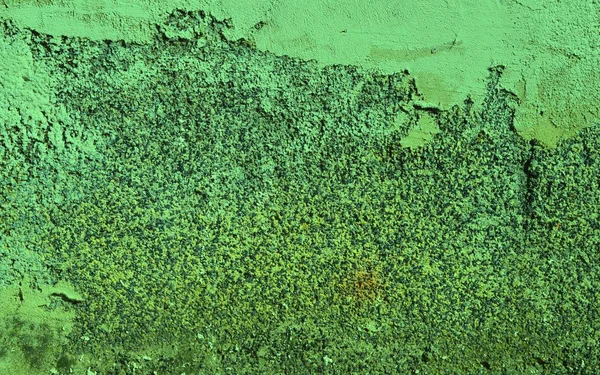 Eski bir sıva duvar