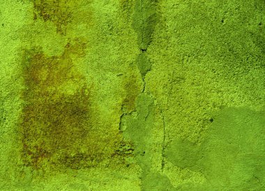 Bir eski duvar sıva